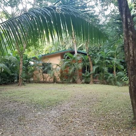 Nosara Paradise Rentals Extérieur photo